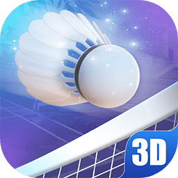 333体育APP